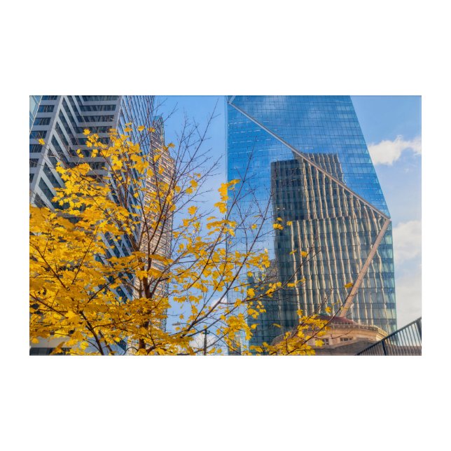 Autumn Cityscape with Yellow Leaves  Acrylic Print (Front)
