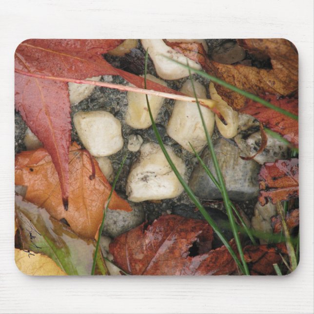 Autumn Collage Mouse Pad (Front)