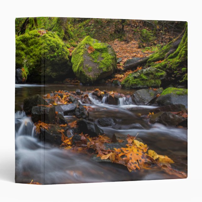 Autumn color along Starvation Creek Falls Binder (Front/Spine)