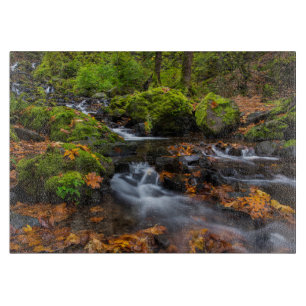 Autumn color along Starvation Creek Falls Cutting Board