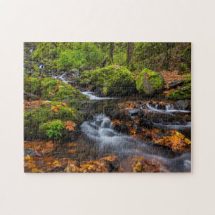 Autumn color along Starvation Creek Falls Jigsaw Puzzle
