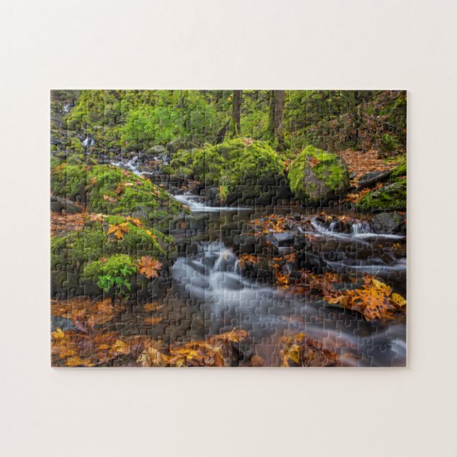 Autumn color along Starvation Creek Falls Jigsaw Puzzle (Horizontal)