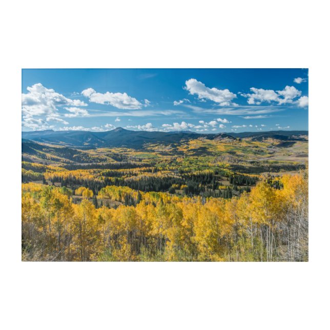 Autumn Color in Flat Tops | Routt National Forest Acrylic Print (Front)