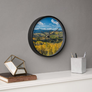 Autumn Color in Flat Tops   Routt National Forest Clock