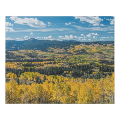 Autumn Color in Flat Tops  Routt National Forest Faux Canvas Print