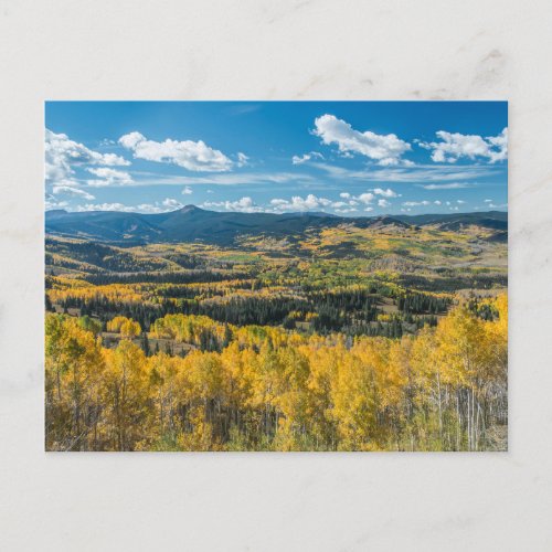 Autumn Color in Flat Tops  Routt National Forest Postcard