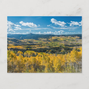Autumn Color in Flat Tops   Routt National Forest Postcard