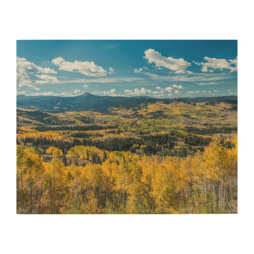 Autumn Color in Flat Tops  Routt National Forest Wood Wall Art