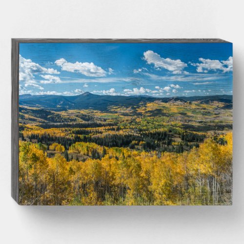 Autumn Color in Flat Tops  Routt National Forest Wooden Box Sign