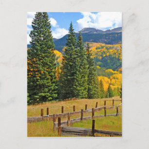 Autumn Color in the Countryside Postcard