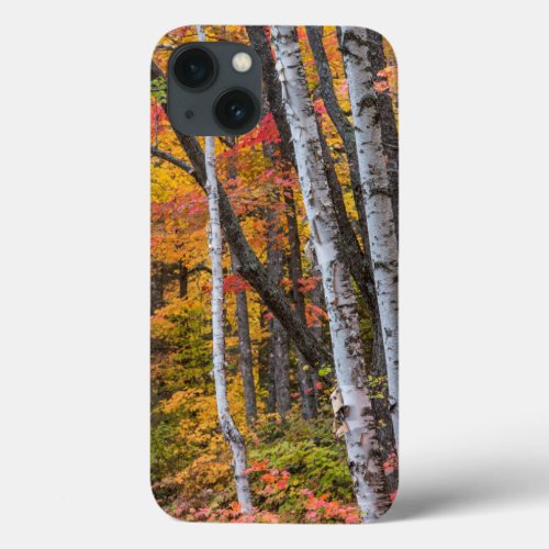 Autumn Color In The Forest Near Copper Harbor iPhone 13 Case