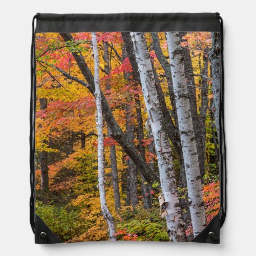 Autumn Color In The Forest Near Copper Harbor Drawstring Bag
