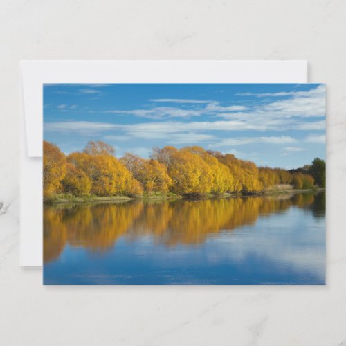 Autumn Color on Clutha River Thank You Card