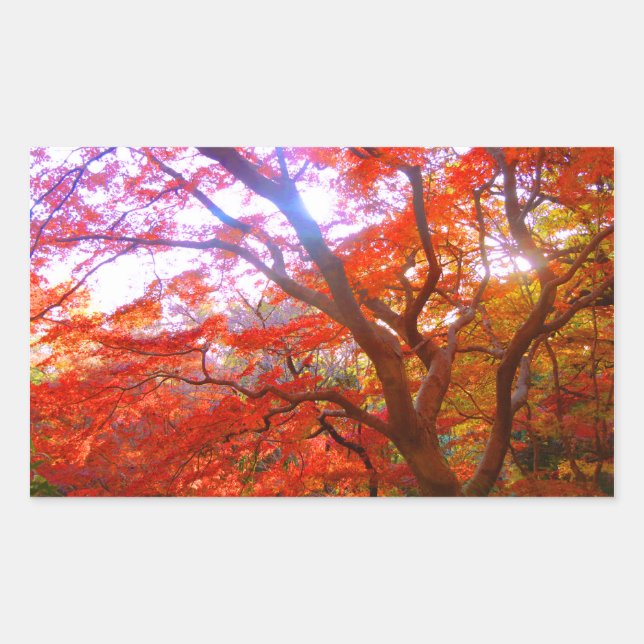 Autumn Color Rectangular Sticker (Front)