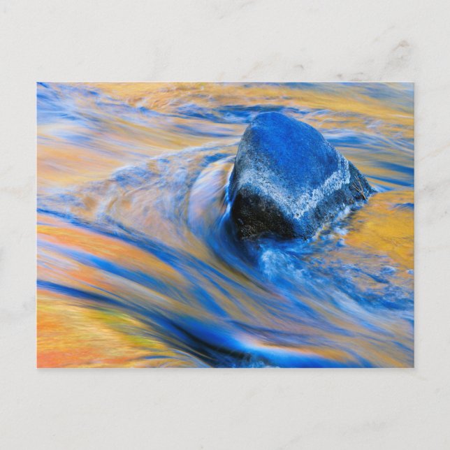 Autumn Color Water Abstract Postcard (Front)