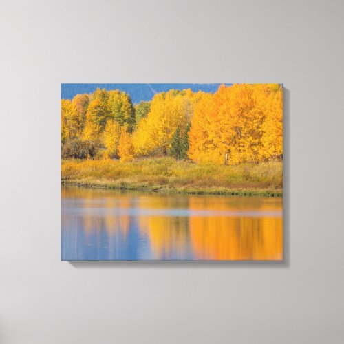 Autumn Colored Aspen Trees Canvas Print