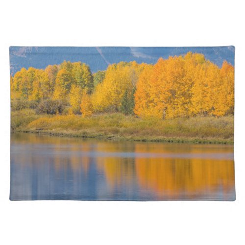 Autumn Colored Aspen Trees Cloth Placemat