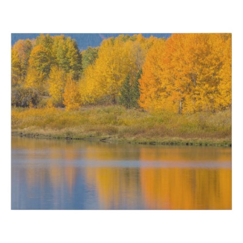 Autumn Colored Aspen Trees Faux Canvas Print