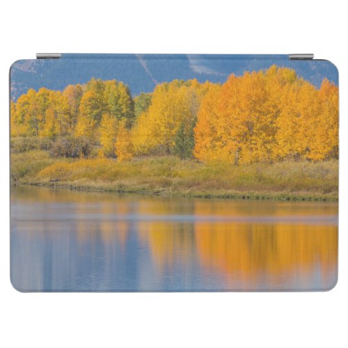 Autumn Colored Aspen Trees iPad Air Cover