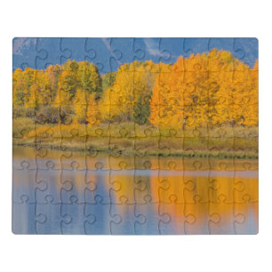 Autumn Colored Aspen Trees Jigsaw Puzzle