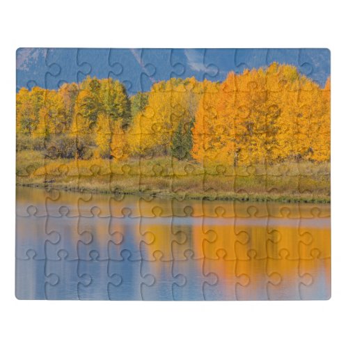 Autumn Colored Aspen Trees Jigsaw Puzzle