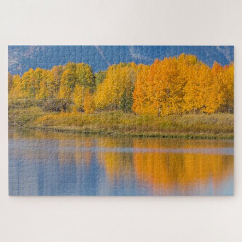 Autumn Colored Aspen Trees Jigsaw Puzzle