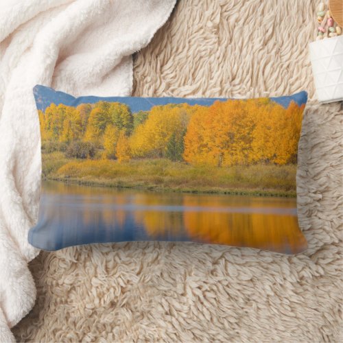 Autumn Colored Aspen Trees Lumbar Pillow