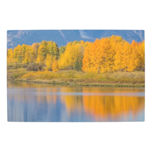 Autumn Colored Aspen Trees Metal Print