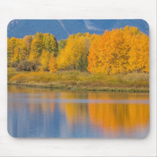 Autumn Colored Aspen Trees Mouse Pad