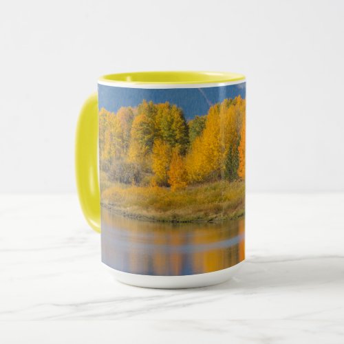 Autumn Colored Aspen Trees Mug