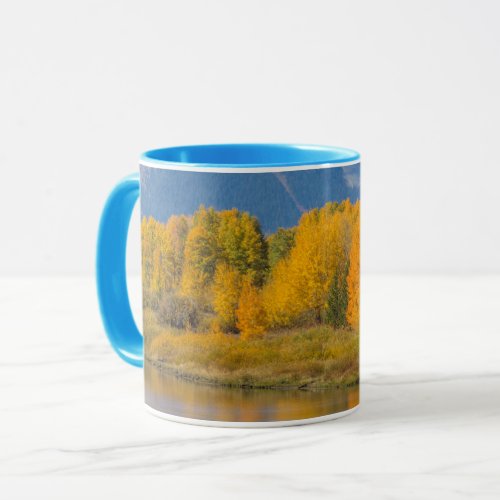 Autumn Colored Aspen Trees Mug