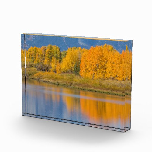 Autumn Colored Aspen Trees Photo Block