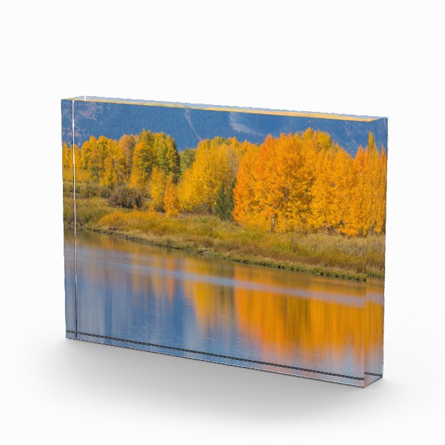 Autumn Colored Aspen Trees Photo Block (Right)