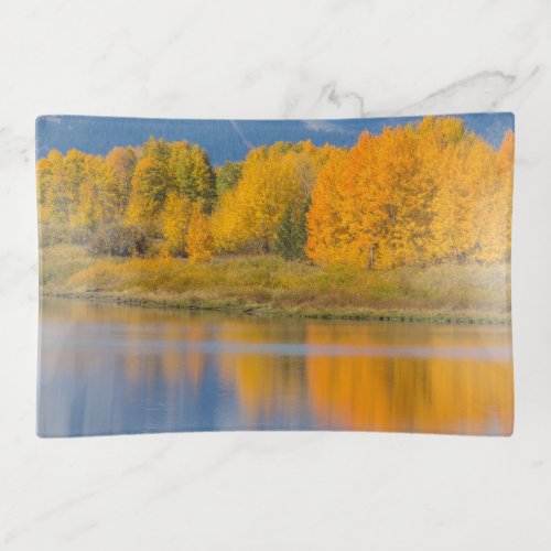 Autumn Colored Aspen Trees Trinket Tray