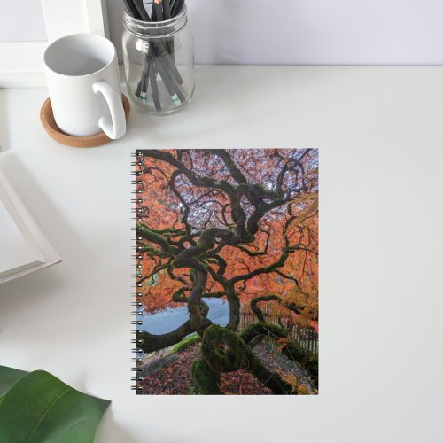 Autumn Colored Gnarly Japanese Maple Tree Notebook