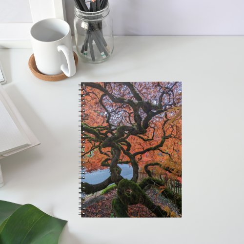 Autumn Colored Gnarly Japanese Maple Tree Notebook