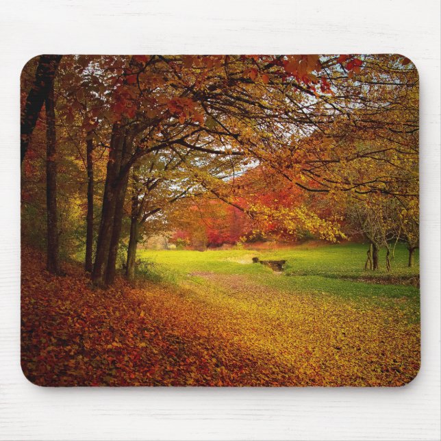 Autumn colorful landscape mouse pad (Front)