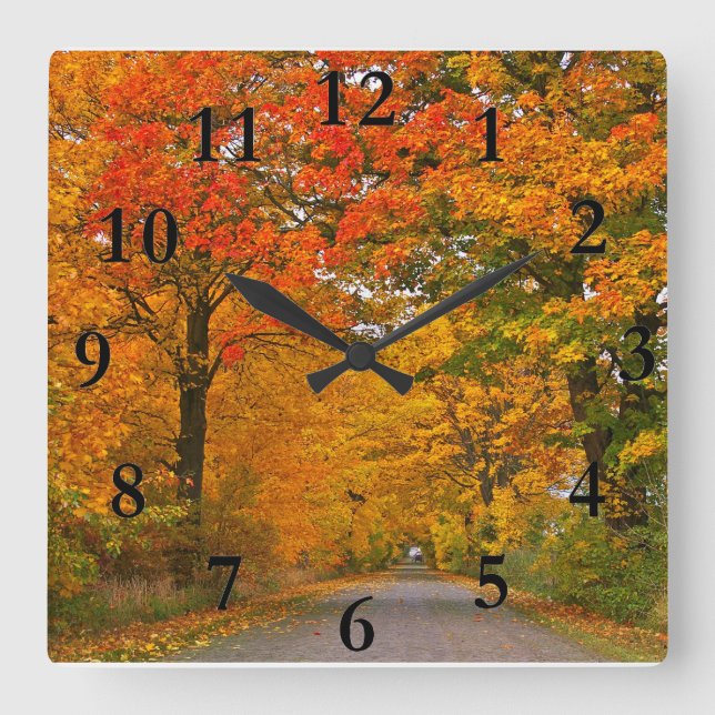 Autumn colorful trees square wall clock (Front)