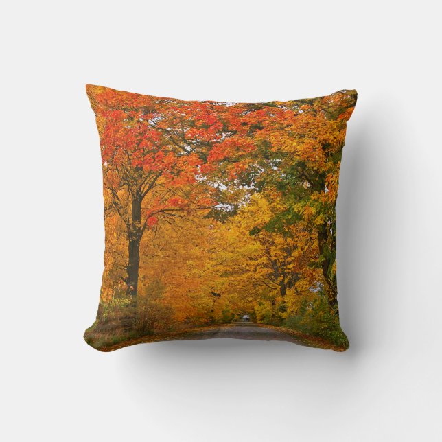 Autumn colorful trees throw pillow (Front)
