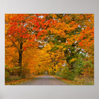 Autumn colorfull poster