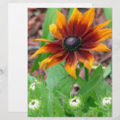 Autumn Colors (Front/Back)
