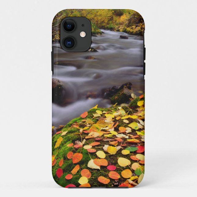 Autumn Colors along McGee Creek Case-Mate iPhone Case (Back)