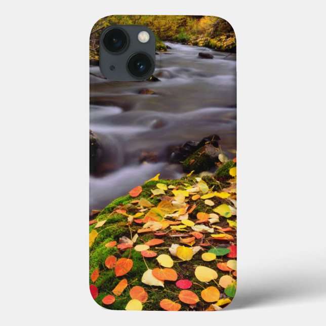Autumn Colors along McGee Creek Case-Mate iPhone Case (Back)