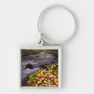 Autumn Colors along McGee Creek Keychain