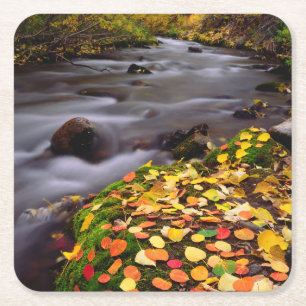 Autumn Colors along McGee Creek Square Paper Coaster