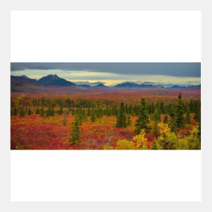 Autumn Colors at Denali National Park, Alaska
