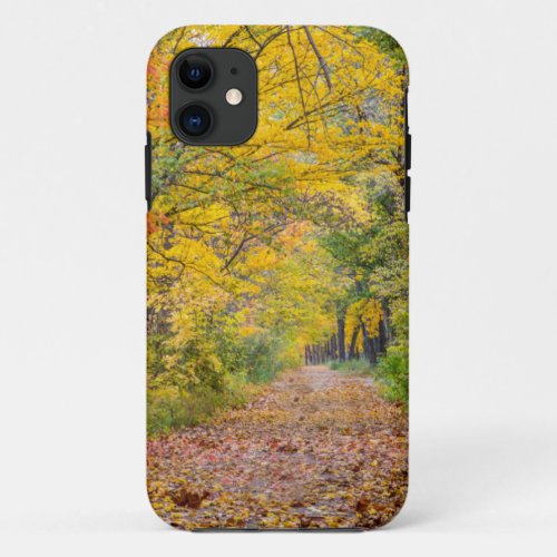 Autumn Colors At Independence State Park iPhone 11 Case