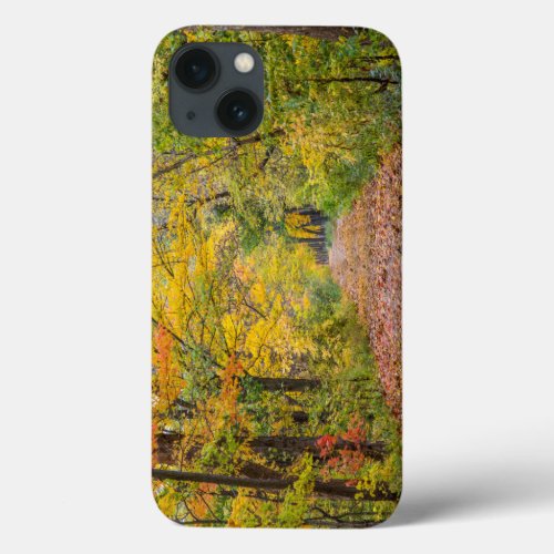 Autumn Colors At Independence State Park iPhone 13 Case