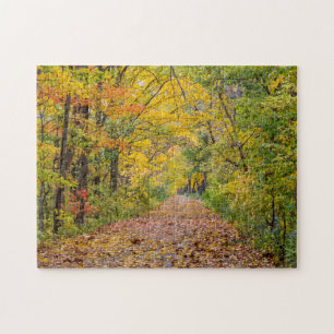 Autumn Colors At Independence State Park Jigsaw Puzzle