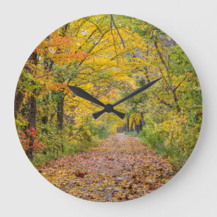 Autumn Colors At Independence State Park Large Clock